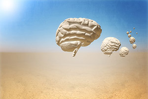 Caravan of brains in the desert