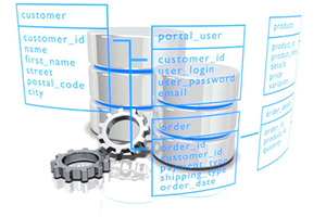 Projects's Data Base